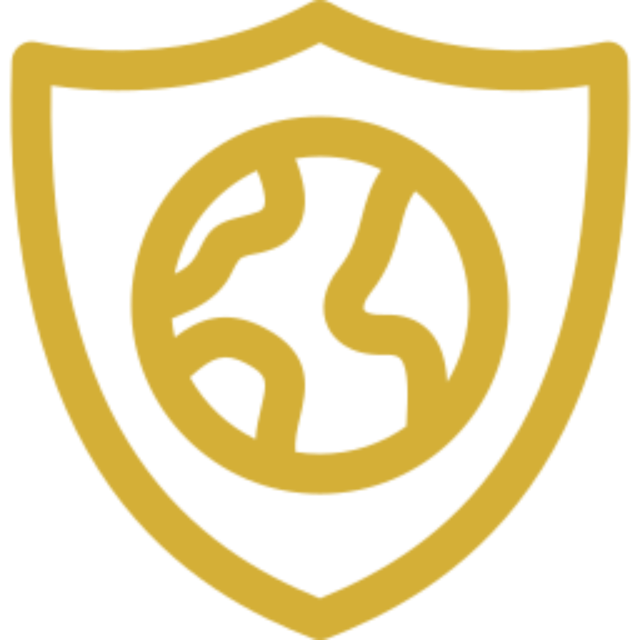 We Protect