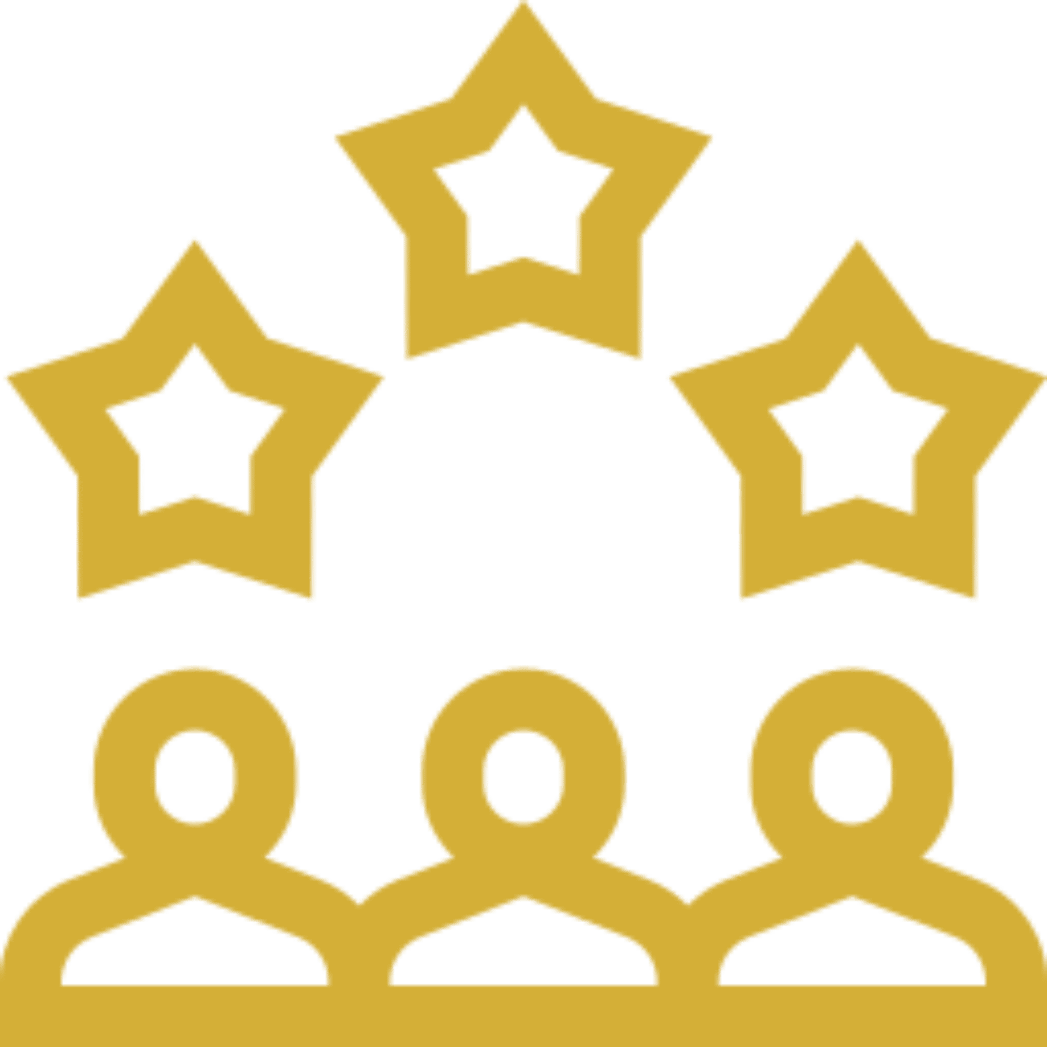 Experienced Team